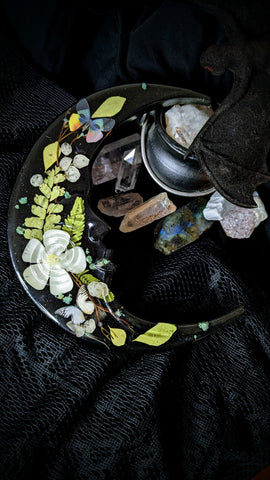 Botanical Moon Wall Art