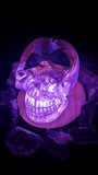Botanical Skull